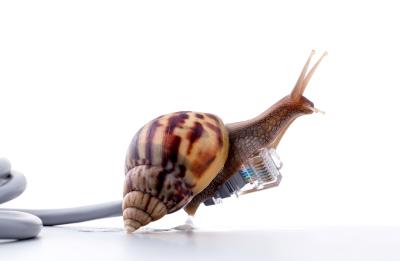 Welche DSL Geschwindigkeit ist ausreichend?