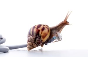 Langsames DSL in einigen Teilen Deutschlands